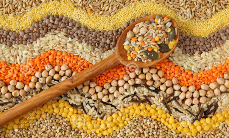 Corn puff line machine manufacturers