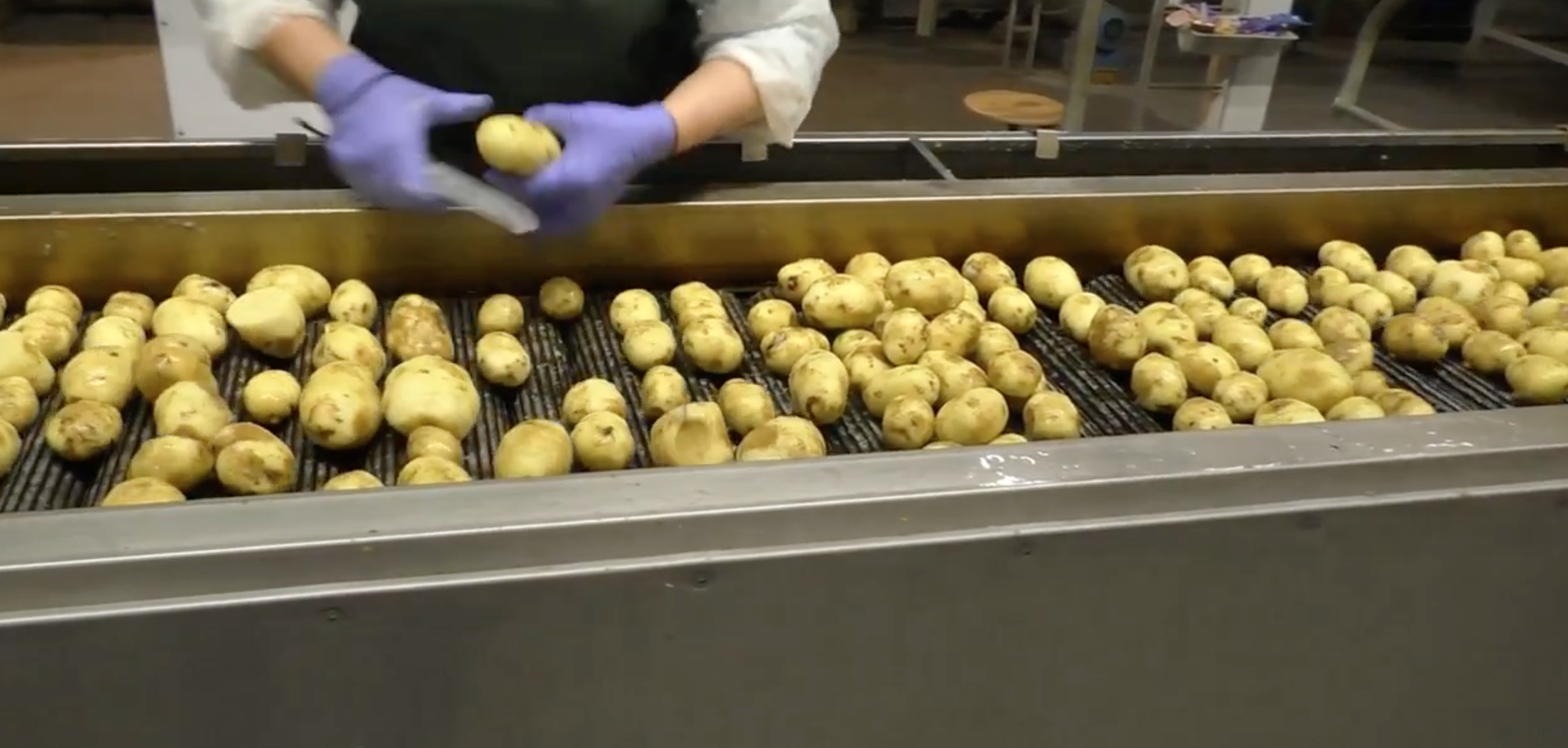 You are currently viewing Enhance the production and quality of Potato Chips, French Fries with Improved Designed of Continuous Fryers and Batch Fryers